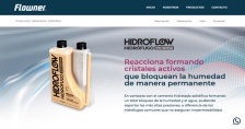 FLOWNER - SITIO WEB