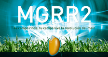 MONSANTO - PowerPoint