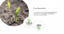 MONSANTO - POWERPOINT