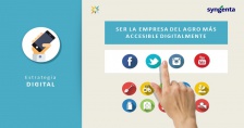 SYNGENTA (LADO C) - POWERPOINT